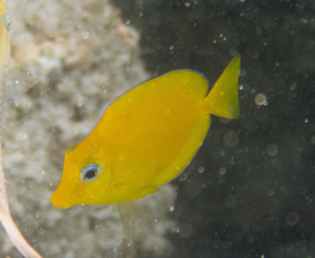 29 dec bacalar chico 25