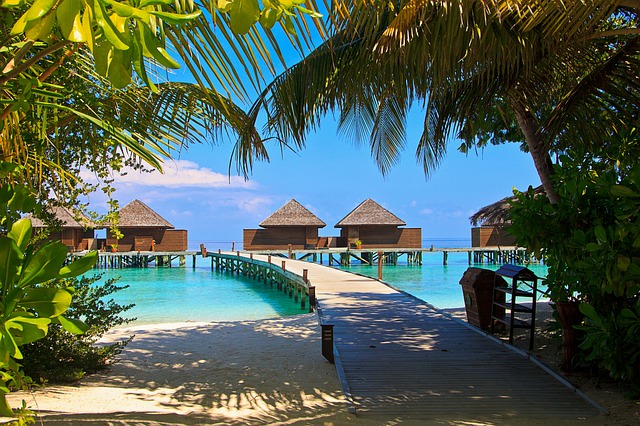 maldive estate