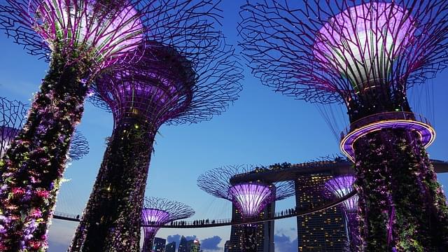 Gardens by the Bay Singapore