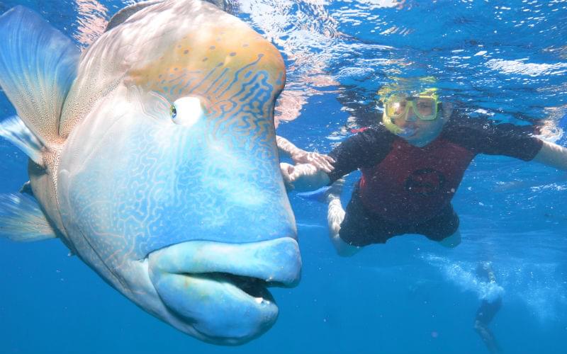 Norman Reef, Australia