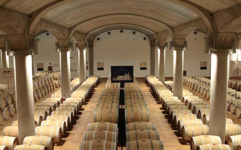 7 donnafugata cantine