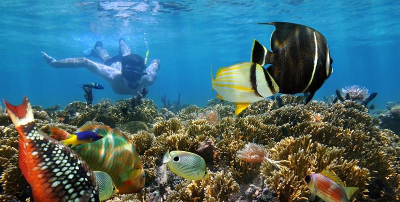 Bonaire, Caraibi