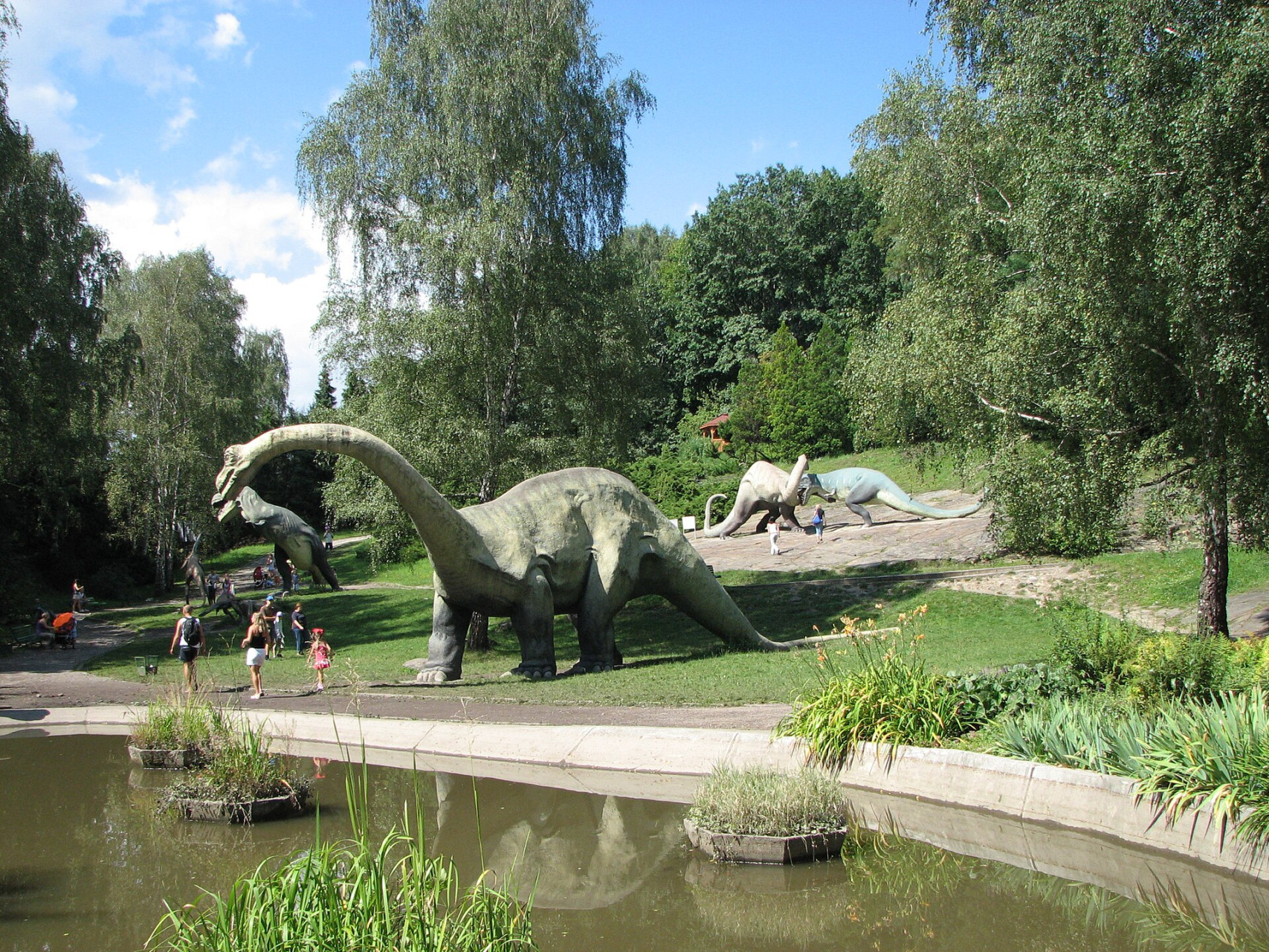 a silesian zoological garden abrah 32