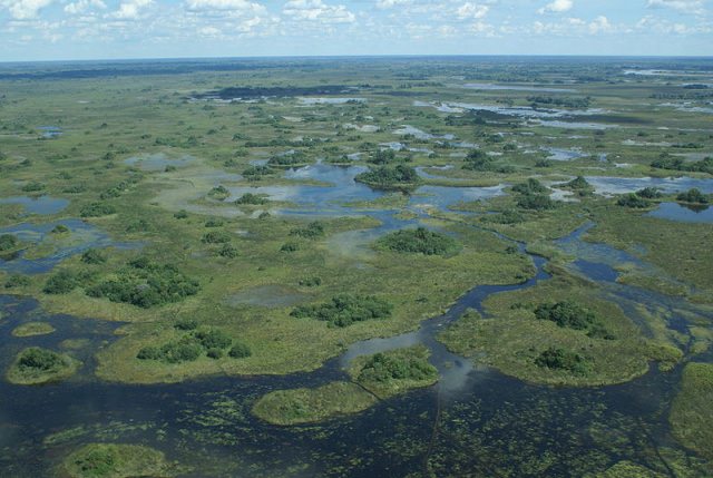 delta dell okavango