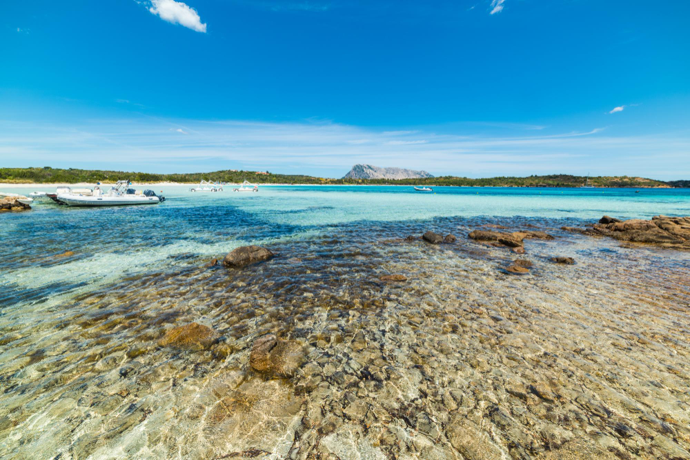 acqua limpida a cala brandinchi sardegna