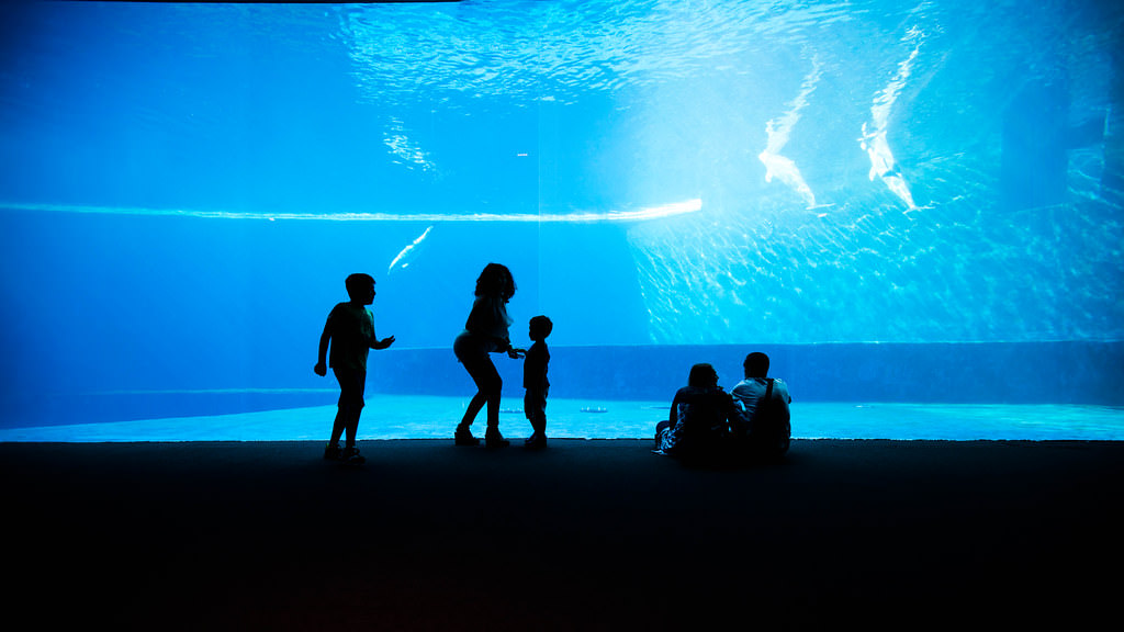 acquario genova