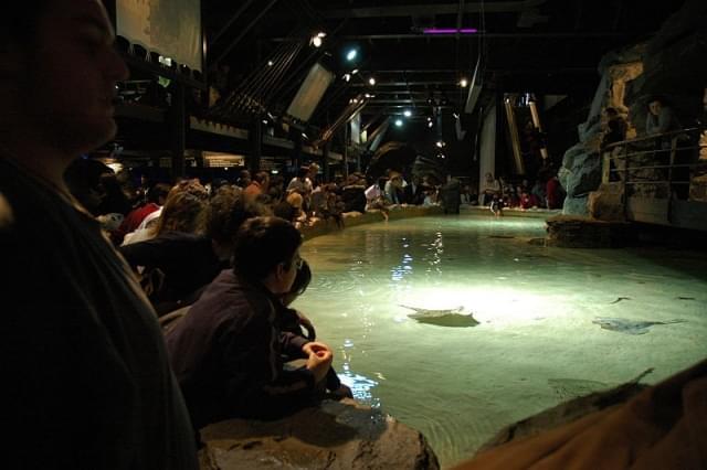 acquario interno