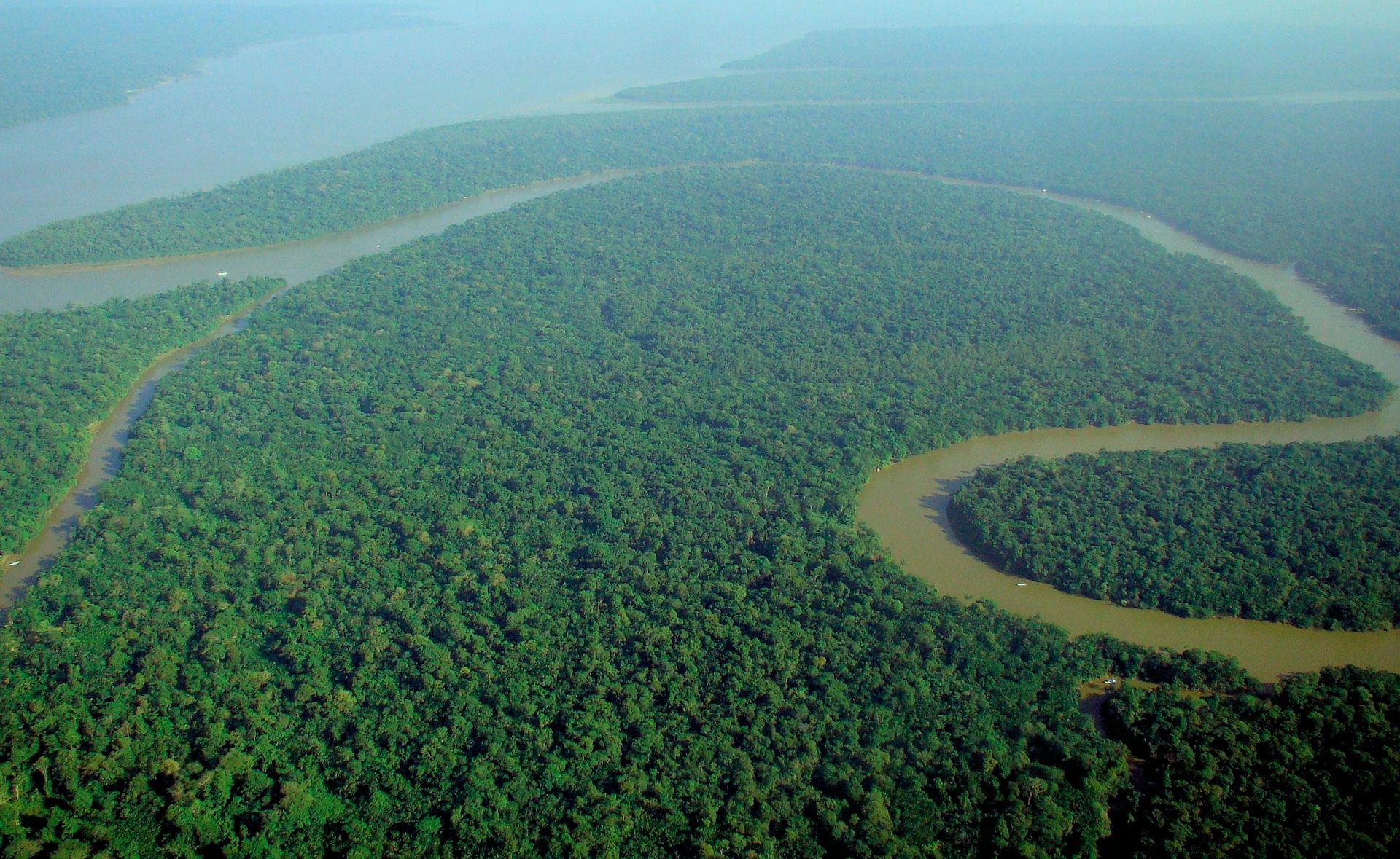 aerialviewoftheamazonrainforest