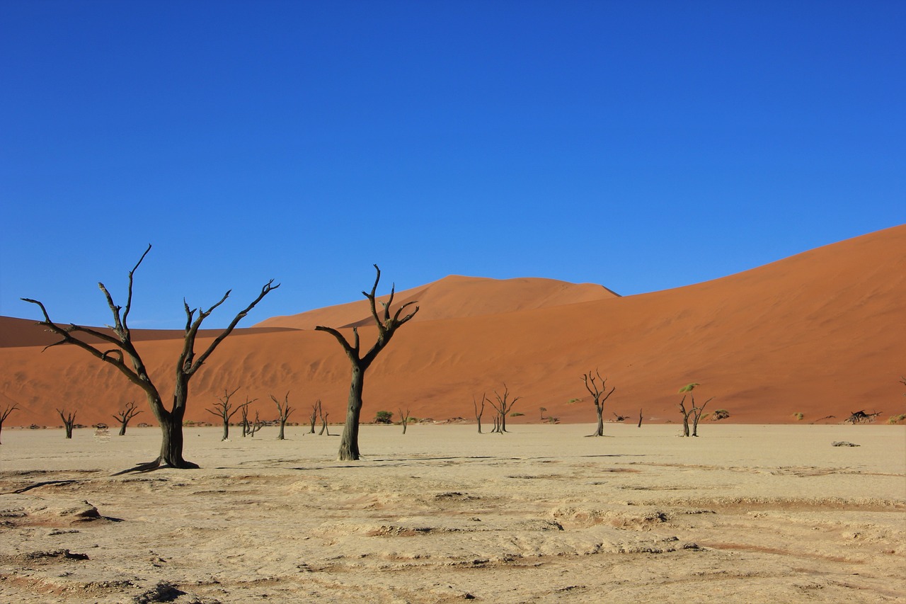 africa namibia deserto del namib 1