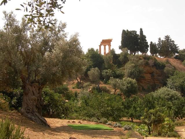 agrigento giardino della kolymbetra