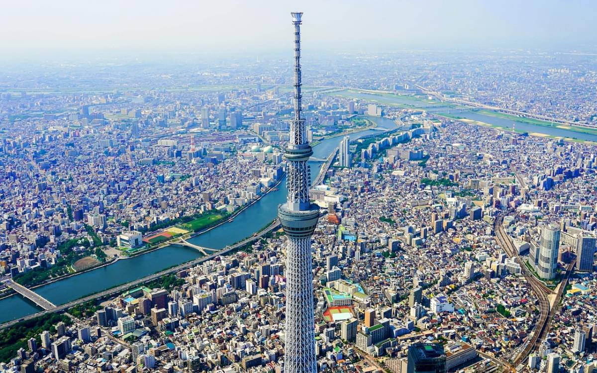 albero del cielo di tokyo viaggio 1