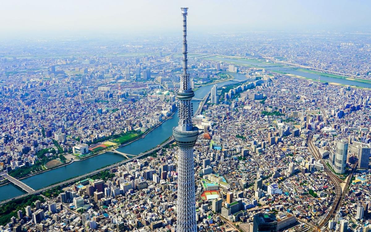 albero del cielo di tokyo viaggio 2