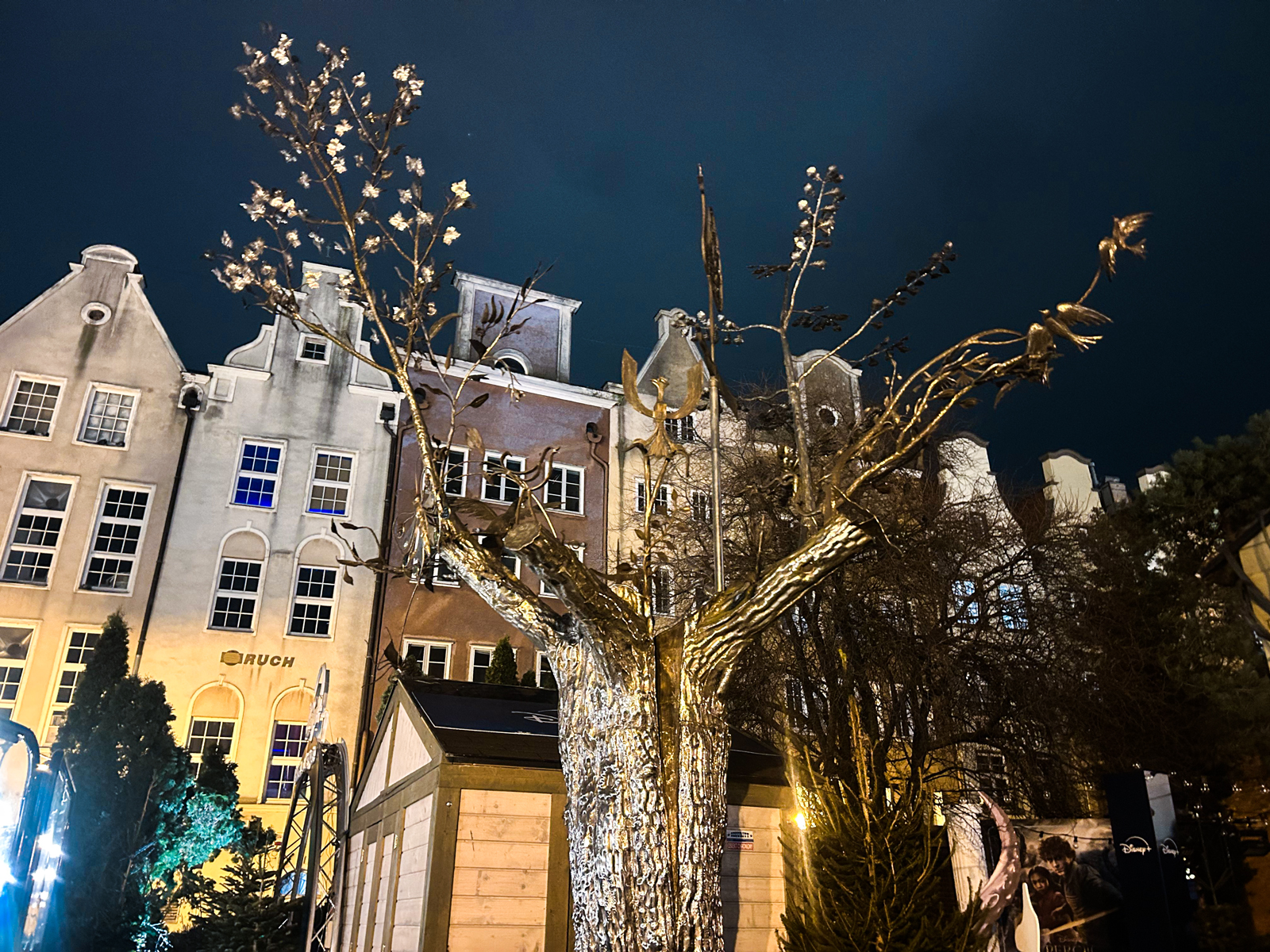 albero del millennio 1