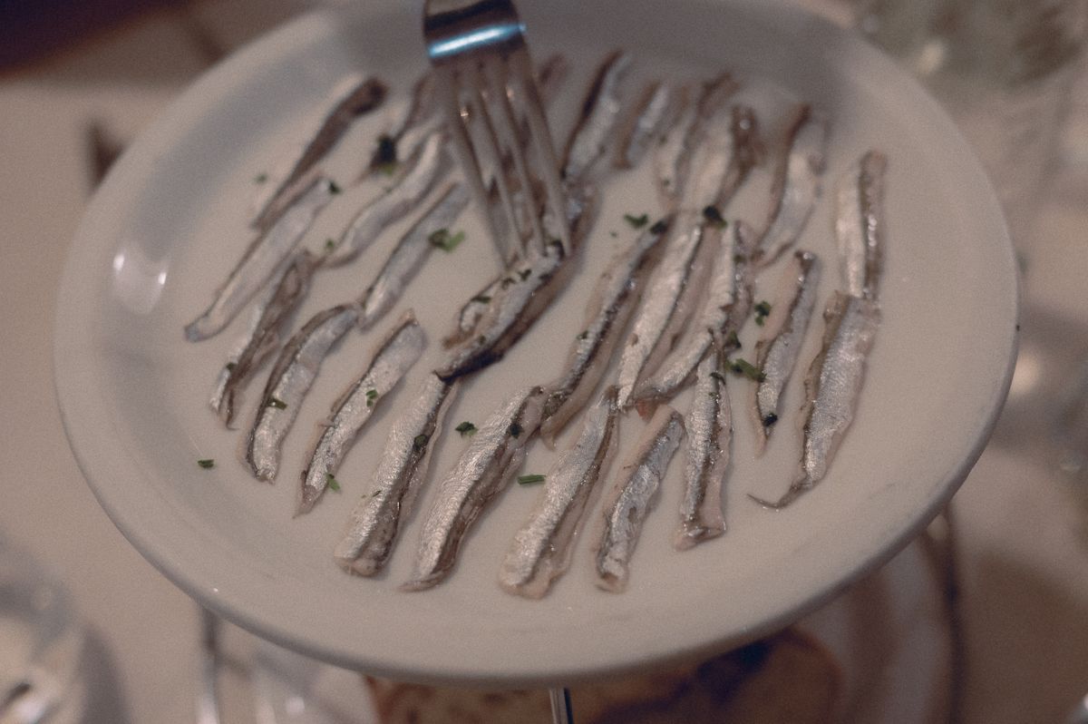 alici menaica agropoli - foto di diana ?