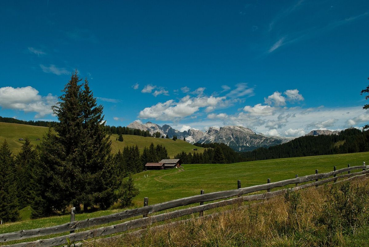 alpe siusi dolomiti - foto di francesco zanardini