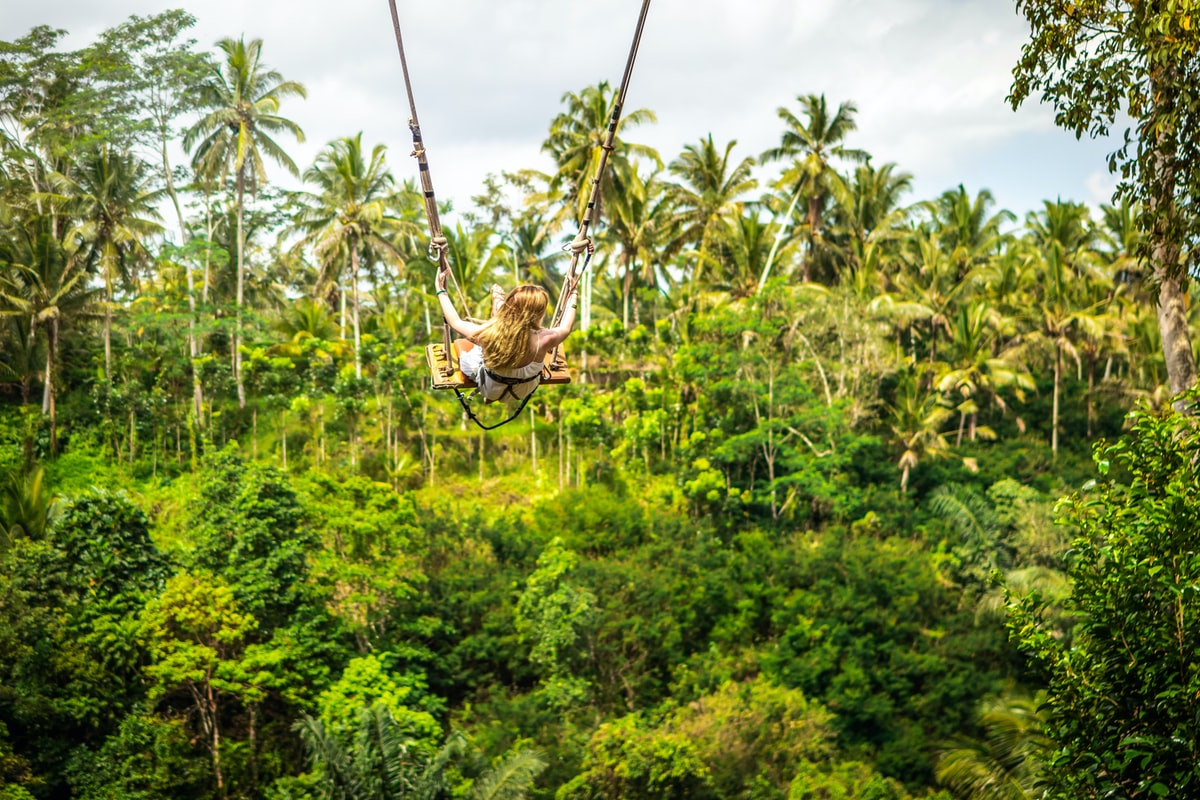 altalena nella foresta bali ubud