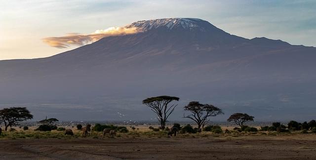 amboseli