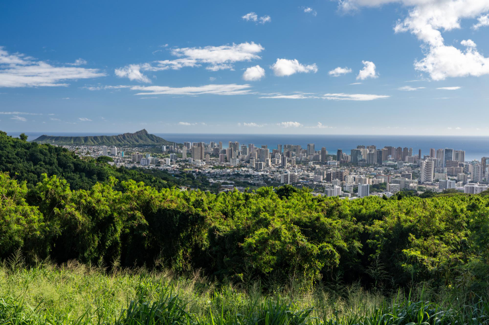 ampia immagine panoramica di waikiki honolulu e diamond head dal tantalus overlook su oahu hawaii