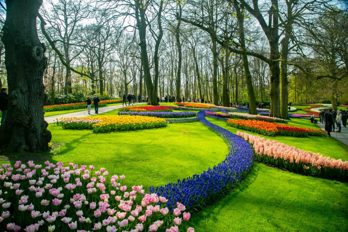 amsterdam netherlands april 20 2018 keukenhof garden beautiful floral netherlands whtere adjust flower garden every year