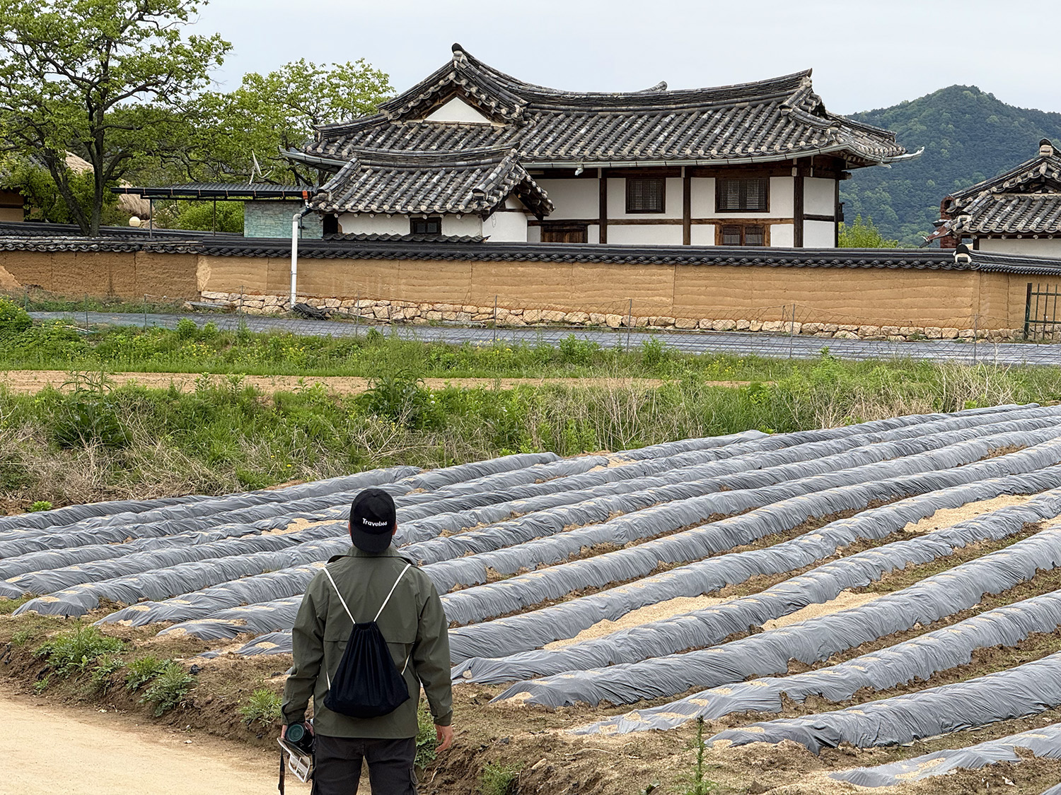 andong hahoe cultural village 2