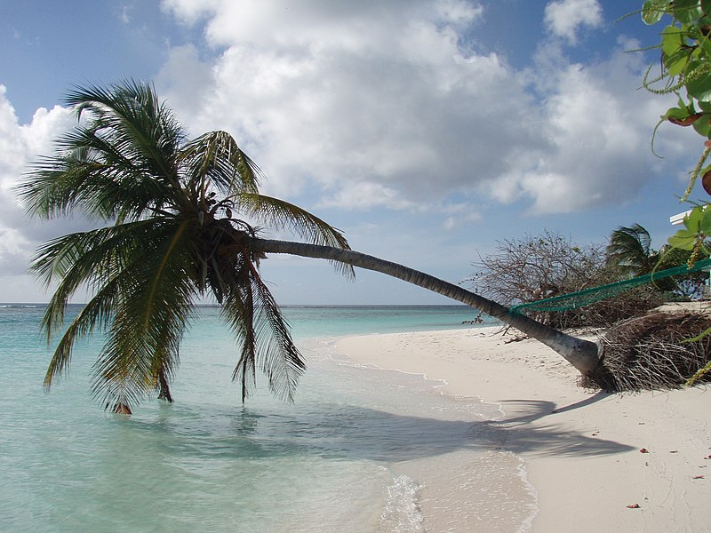 anegada west end