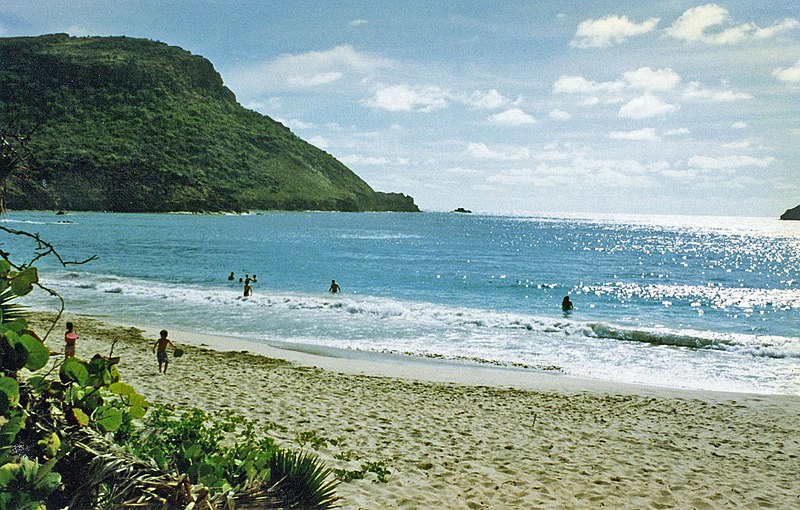 anse de grande saline on st barthelemy