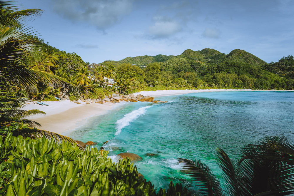 anse intendance