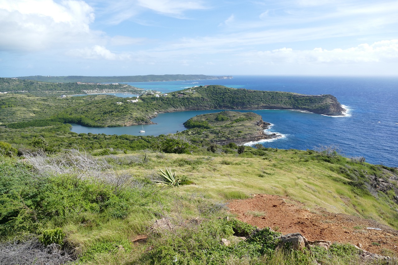 antigua caraibico mare isola
