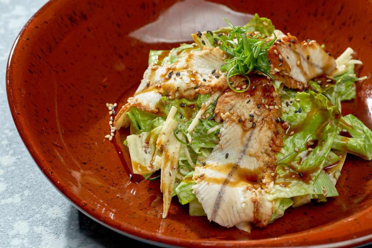 appetizing salad with eel teriyaki sauce lettuce red plate blue background