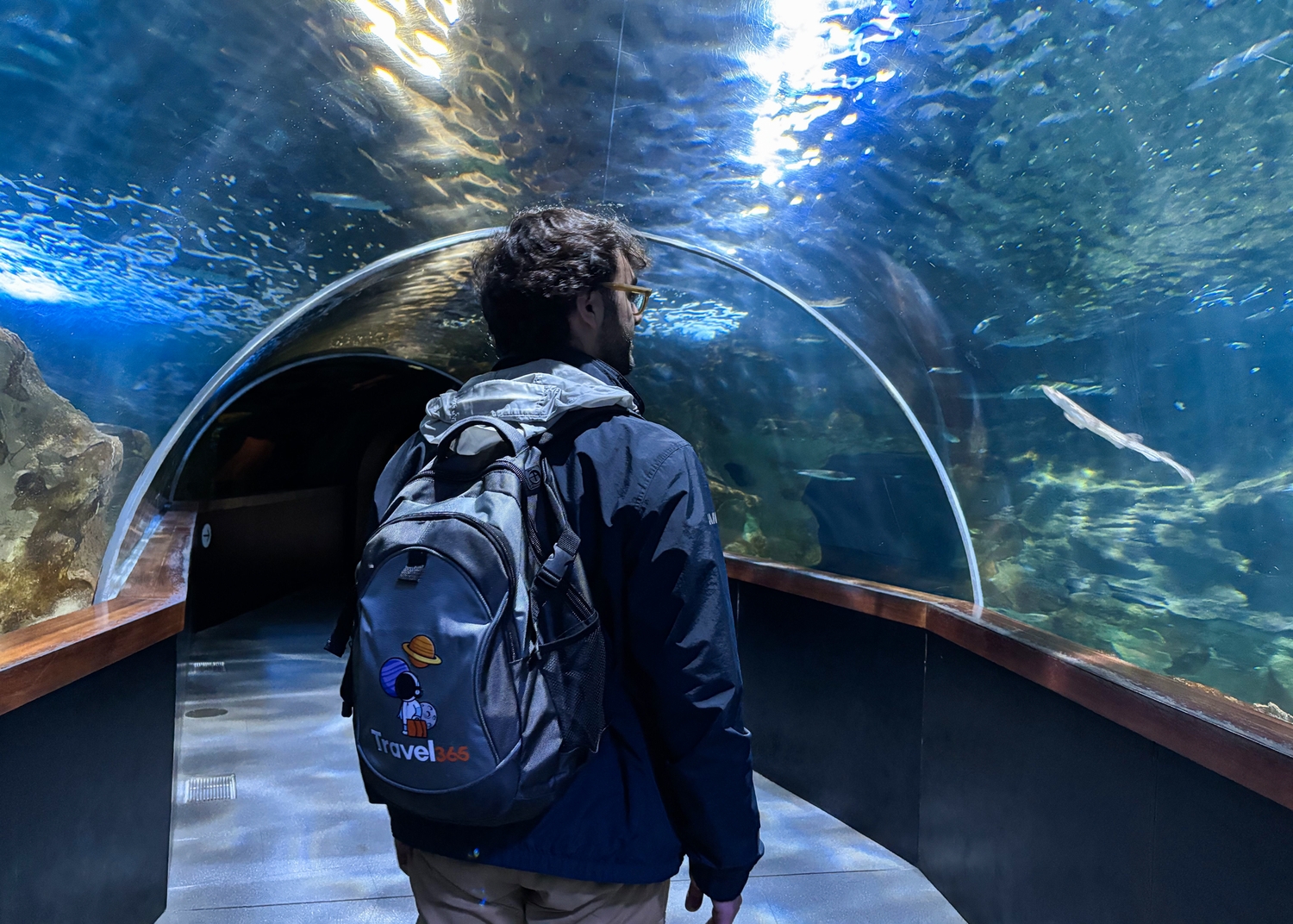 aquarium 1