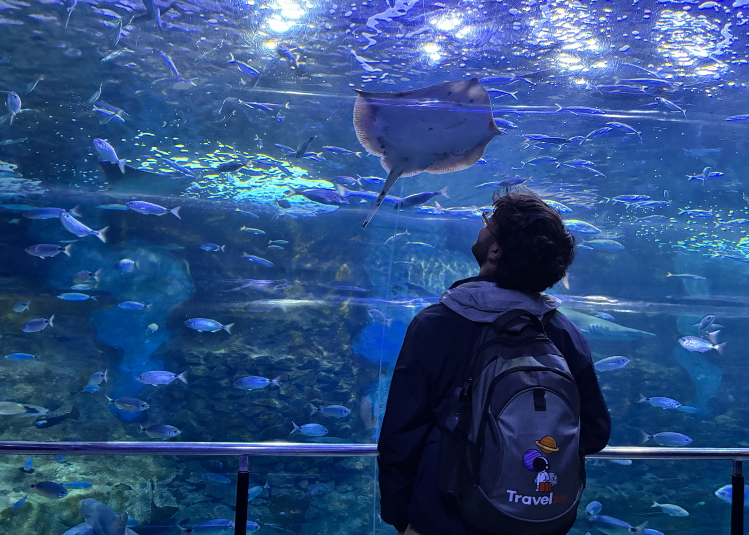 aquarium 3
