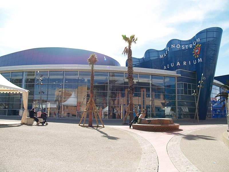 aquarium in montpellier