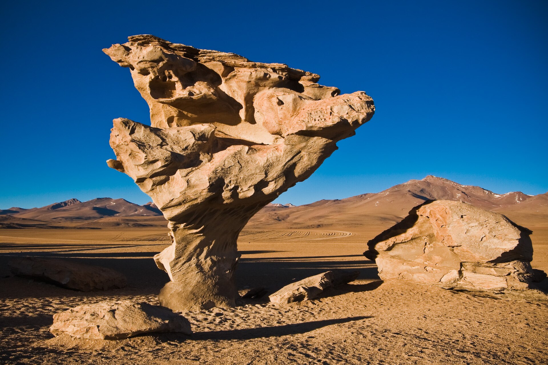 arbol de piedra bolivia 1