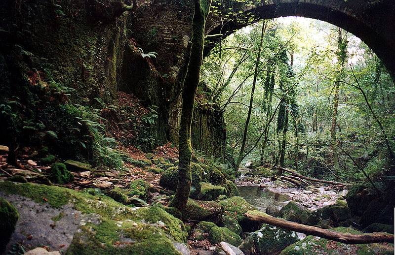 arco verde fragas do eume