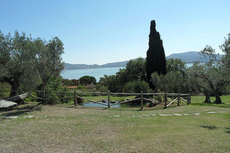 area del giardino delle piante acquatiche