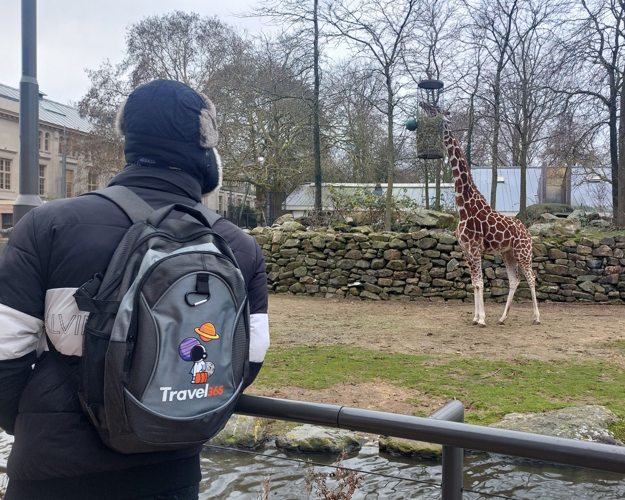 artis royal zoo 1