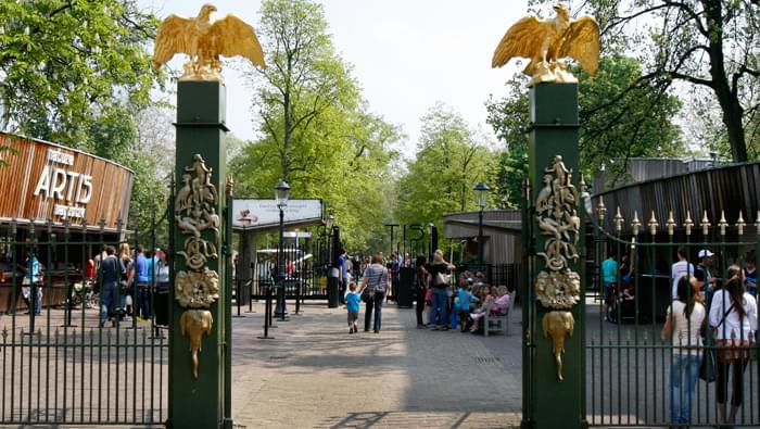 artis zoo ingresso