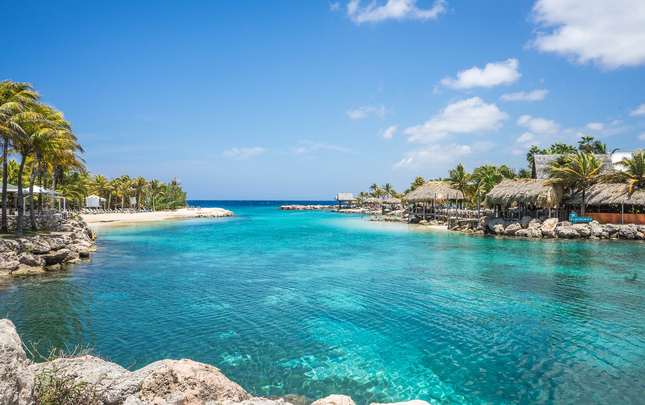 aruba spiaggia e palme