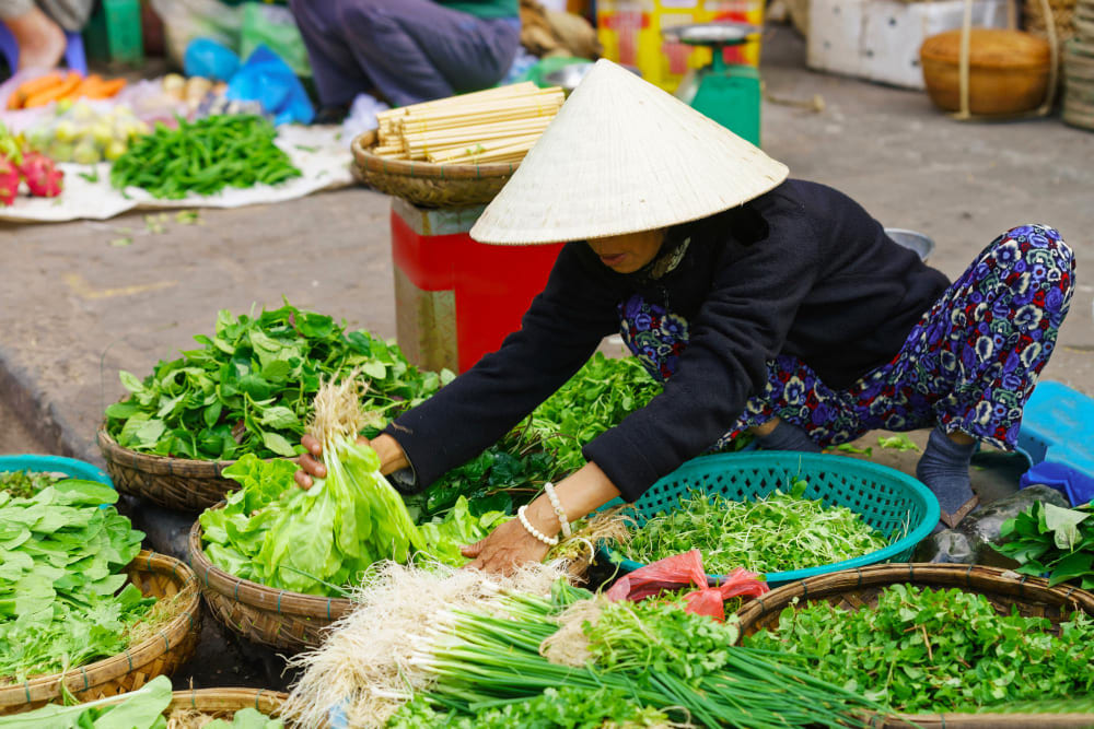 asian trader traditional hat selling fresh greens street market hoi vietnam