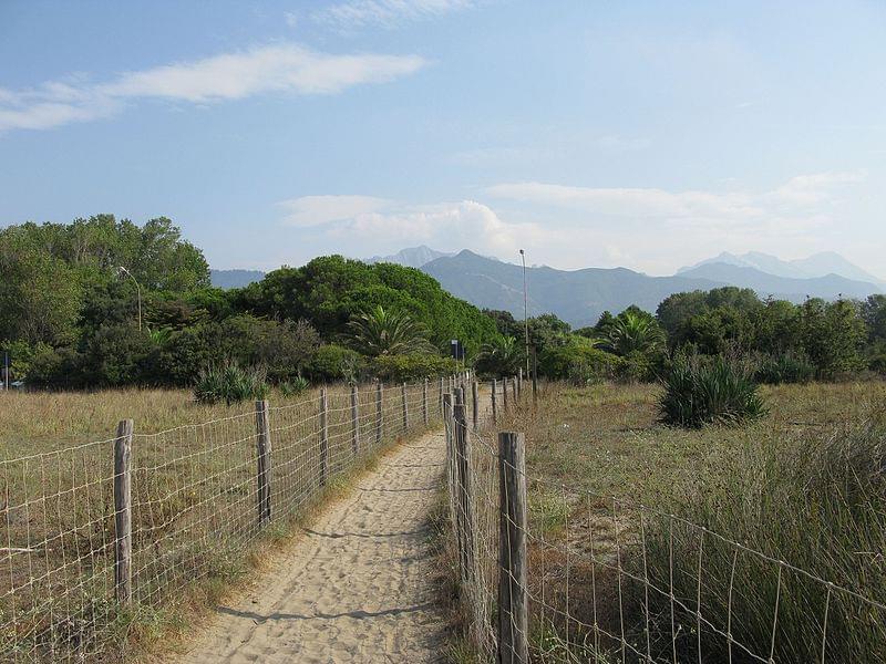 attraversamenti nell oasi delle dune di forte dei marmi 05 1