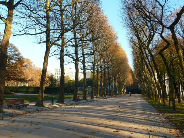 autunno a bruxelles