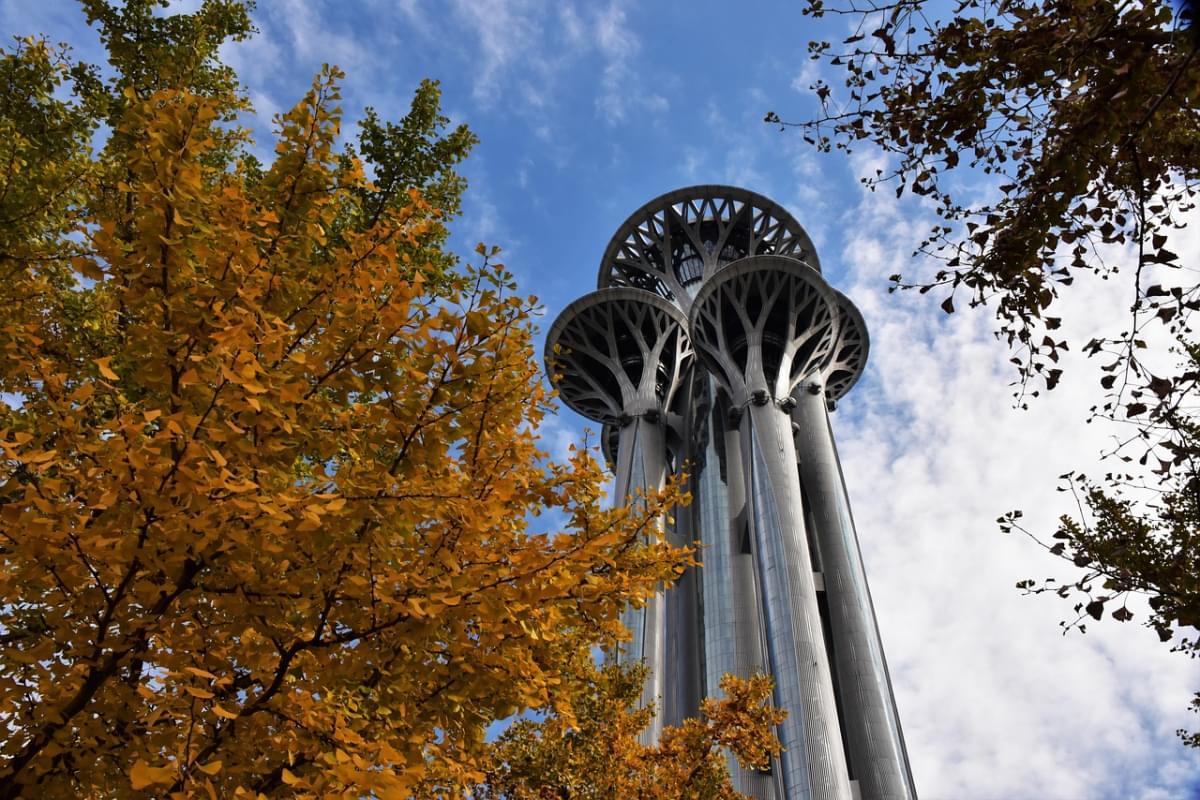 autunno edificio il parco olimpico 1