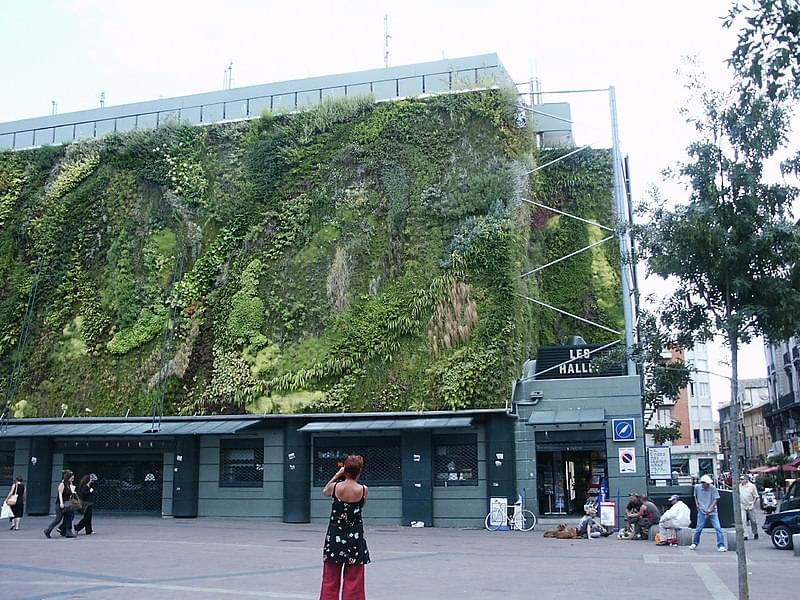 avignon mur vegetal des halles