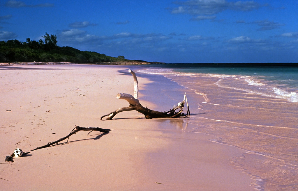 bahamas 1989 347 eleuthera pink sand harbour island
