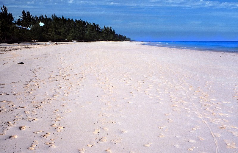 bahamas eleuthera harbour island