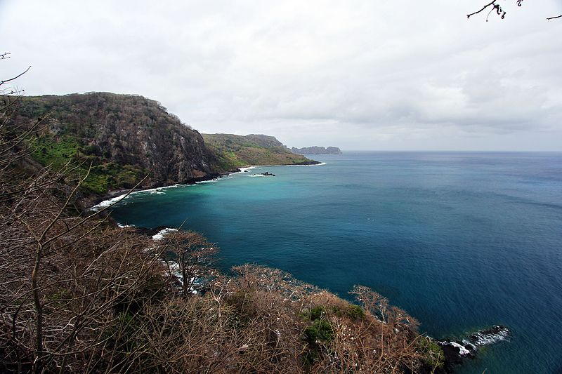 baia dos golfinhos 1