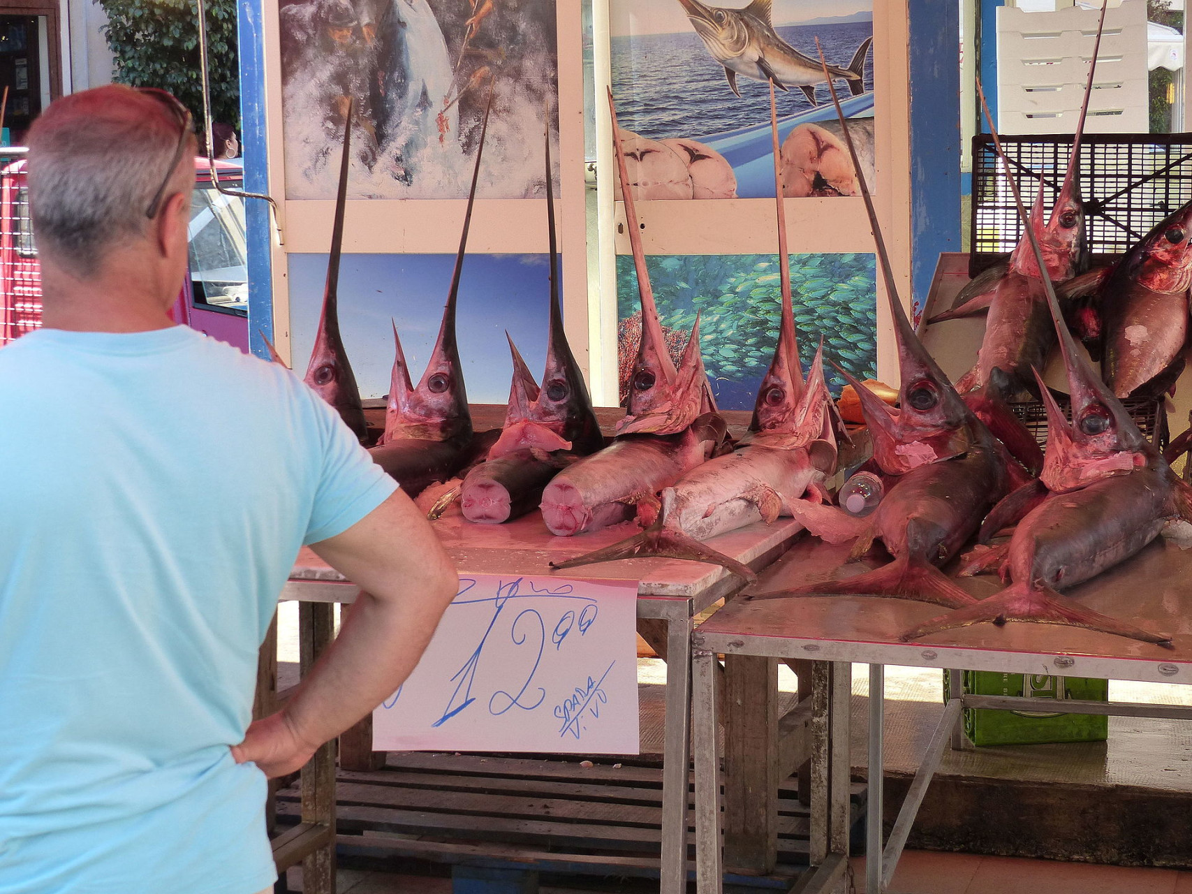 ballaro pezespada palermo sicilia italia 2015