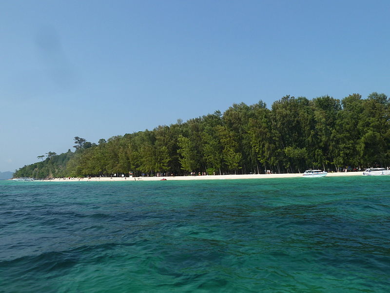 bamboo island