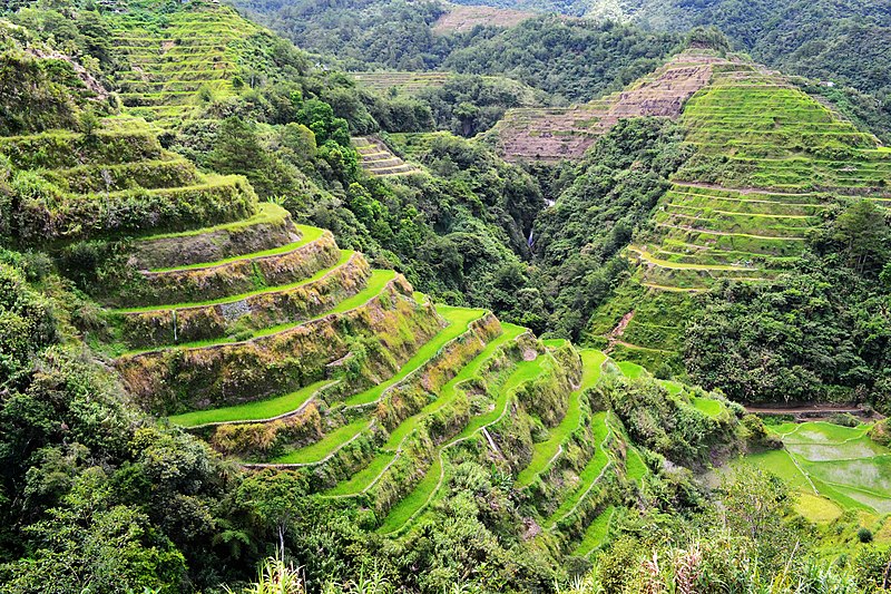 banaue rice terraces 2