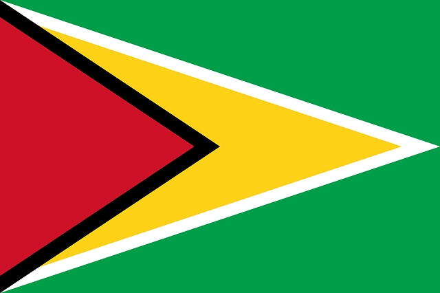 bandiera guyana